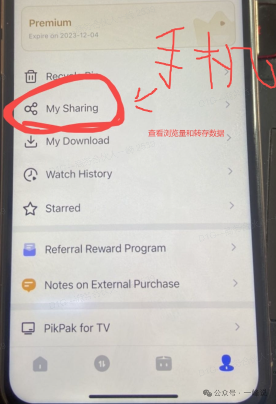 右豹推文网盘出海，会玩的已经吃到红利